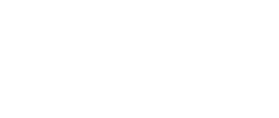 banco master