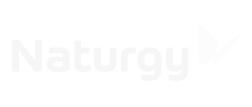 naturgy